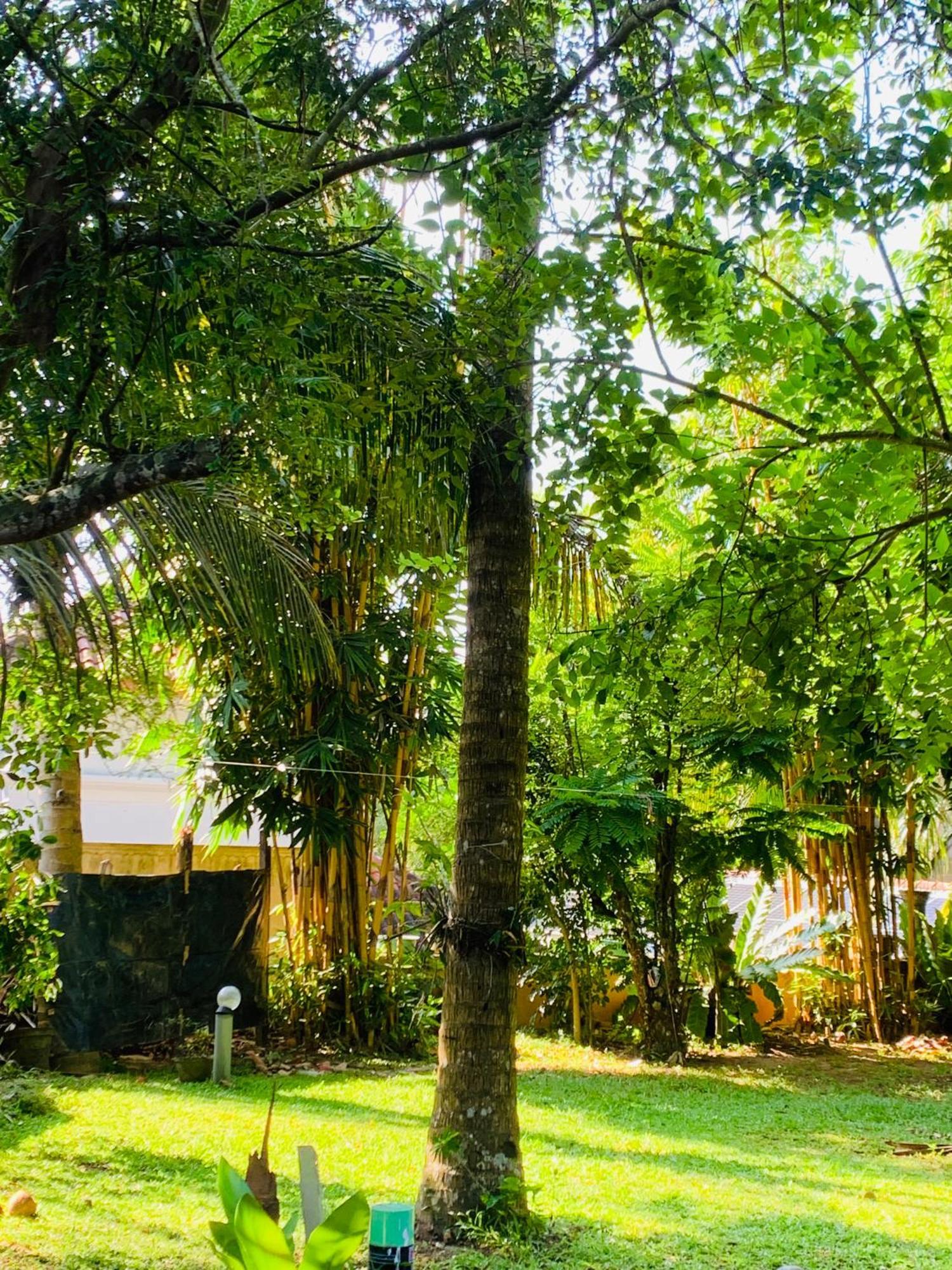 Cinnamon House Hiriketiya Dickwella Exterior photo