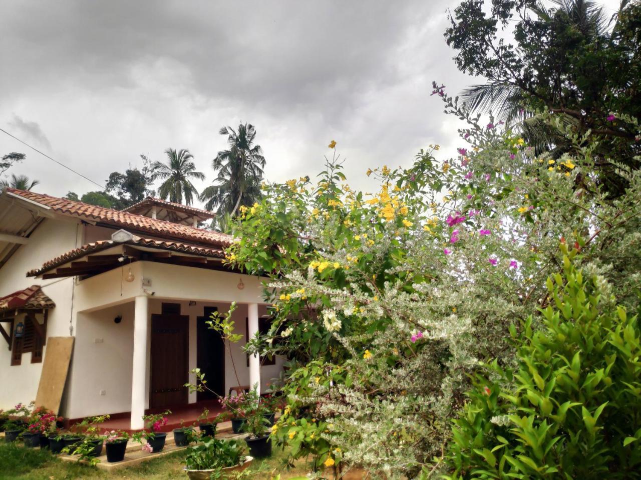 Cinnamon House Hiriketiya Dickwella Exterior photo