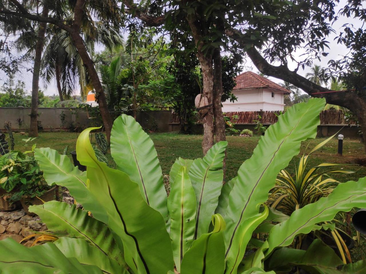Cinnamon House Hiriketiya Dickwella Exterior photo