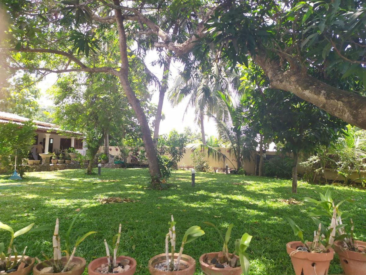 Cinnamon House Hiriketiya Dickwella Exterior photo