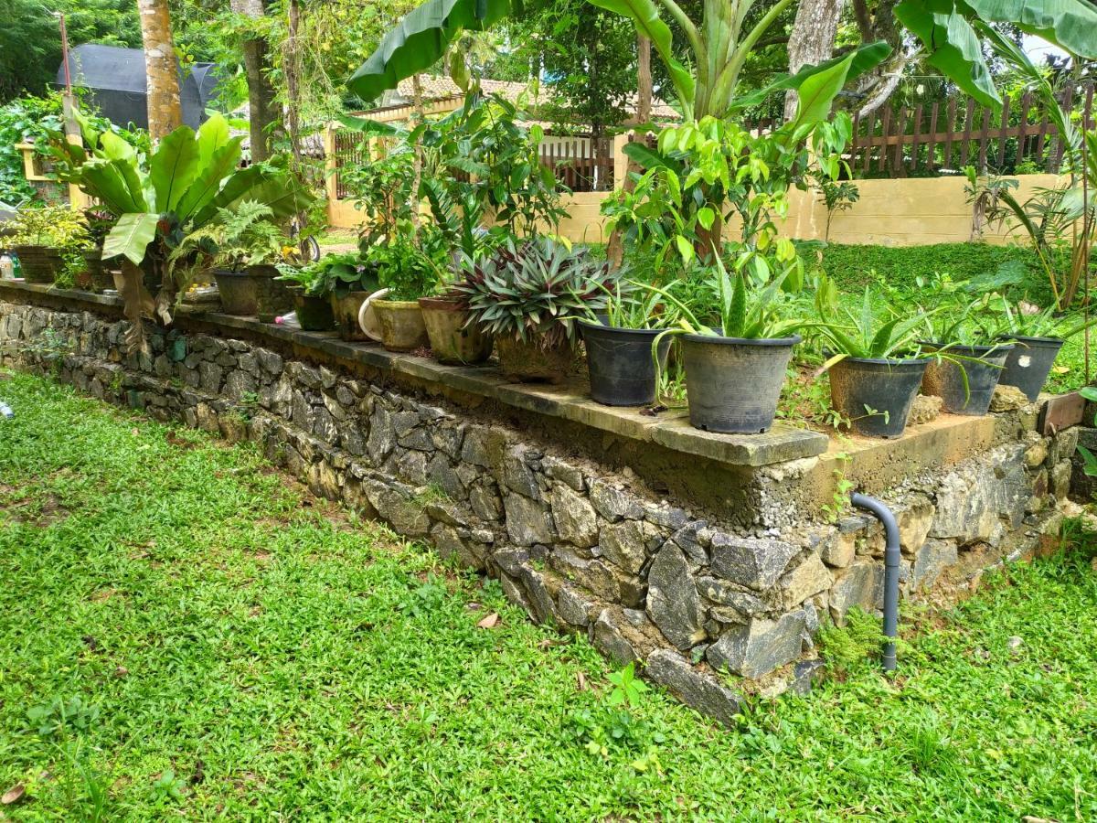 Cinnamon House Hiriketiya Dickwella Exterior photo